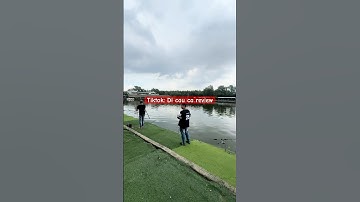 Hồ câu cá tra Hải Đen #fishing #cauca