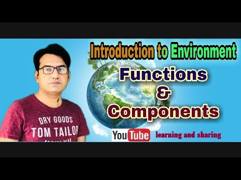 Environment: Functions & Components - YouTube