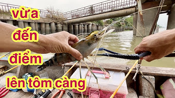 Một Ngày Đi Câu Tôm Cá Và Chia Sẻ Điểm Câu Khu Sông Cầu Rạch Miễu @Xuanthuong91