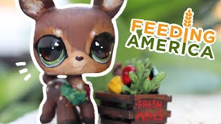 Feeding America Fundraiser {LPS Custom} @cobalt.studios