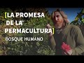 🌺PERMACULTURA🌳Una herramienta para CREAR la realidad de ABUNDANCIA que queremos vivir 🌺