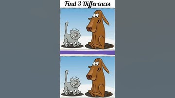 Spot 3 differences #218