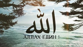 НАШИД - Al An Abu Ali