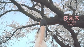 PINOS 『桜風来』Music Video