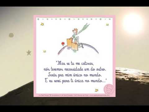 frases do pequeno
