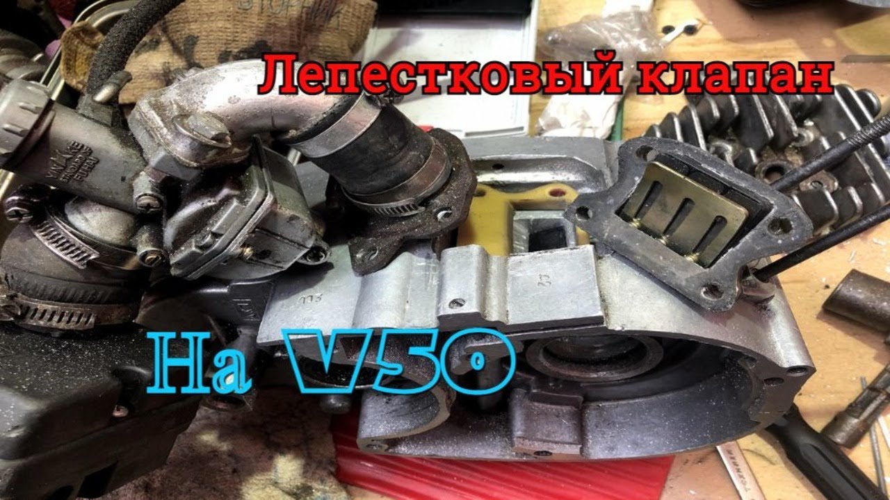 Лепестковый клапан на карпаты