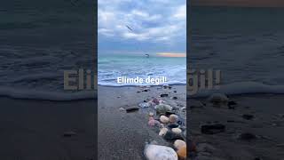 Müslüm Gürses (Elimde Değil)