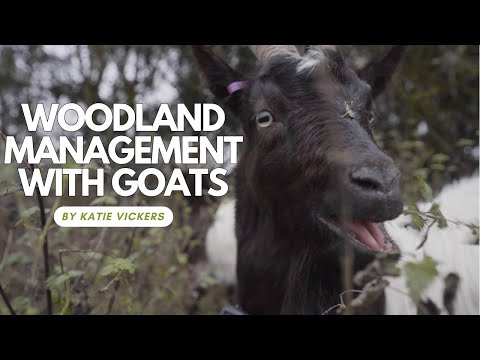 Watch on WoodlandsTV
