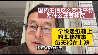 国内生活这么安逸平静 为什么我还要移民一个快递纸箱上的悲惨故事 每天都在中国大地上演