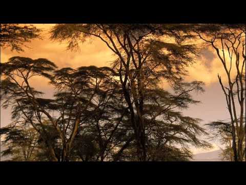 Watch Gustaf Hildebrand - Omega Continuum on YouTube Watch Gustaf Hildebrand - Omega Continuum on YouTube