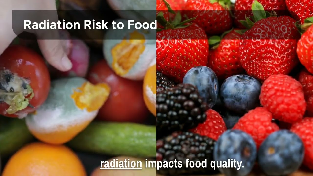 The 5 Critical Elements of Deep Space Food Systems