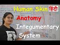 Human skin  integumentary system anatomy in hindi  structure  layers  functions  part1