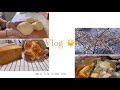 [ENG CC] Cooking Vlog | Homemade milk bread, trying seafood boil, home hotpot, Costco shopping