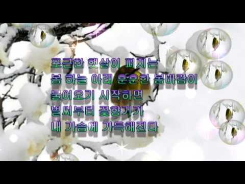 봄 / 용혜원