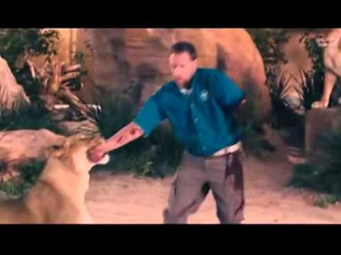   اسد ياكل رجل خطير جدا