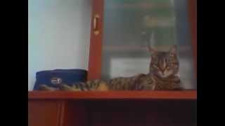 Capture 20120909