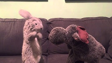 Team Awesome Robot Thanks: Matt Dionne