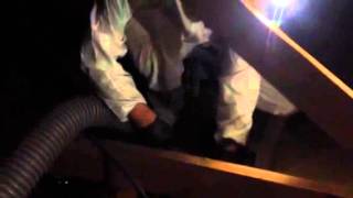 Ecoattics Team removing Insulation