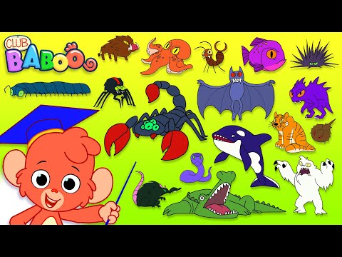 Animal ABC | Learn the alphabet with SCARY ANIMALS for children | abcd videos for kids A to Z esl