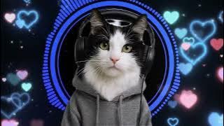 DJ MEOWW KOPLO REMIX 2025 🔥🐾😻 DJ VIRAL 💃🕺🔥🎧 