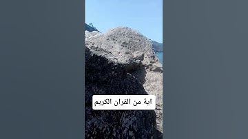 اية من القران الكريم #quranforthesoul #quran