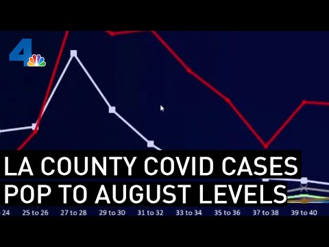 Highest Numbers of Coronavirus Cases Since August Reported in LA County | NBCLA