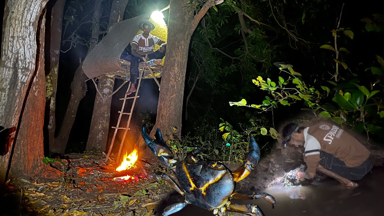 झाडावर झोपडी बांधून केली कॅम्पिंग खेकडे पकडण्याची वेगळी पद्धत🦀खेकडा तंदुरी 🦀|tree house camping ⛺️