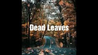 BTS - Dead Leave (고엽) [Indo Lirik]