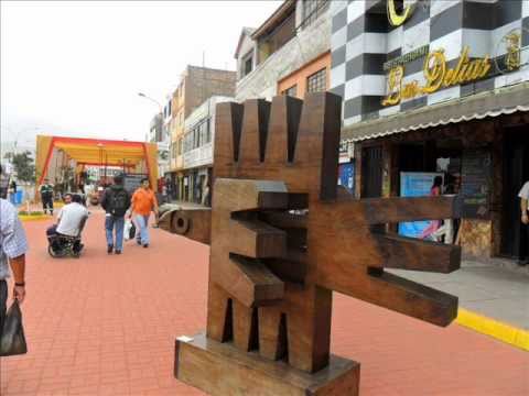 EXPOSICION CULTURAL DEL ARTISTA VICTOR DELFIN EN S...