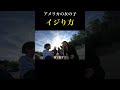 #海外大学生 #ブログ #海外 #留学生の日常 #留学生の1日 #英会話 #留学日記 #留学