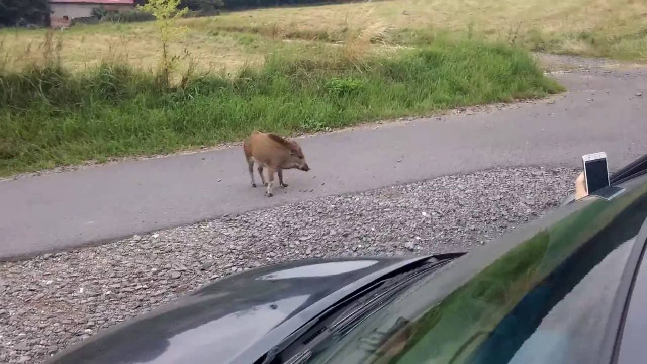 Eksploracja, to bardzo ryzykowne zajęcie :)