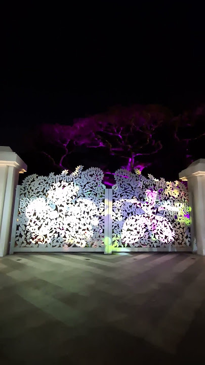 di sya spesyal#video #viral #light #shorts #youtube #youtubeshorts #trending