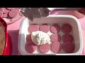 نمـت فبيتهم وبدون ادري سحبني مـ ن يدي وقال نمـت فبيتهم وبدون ادري سحبني مـ ن يدي وقال