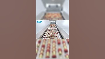 #shorts Capsule Counting Machine, Pill Packaging Machine (SED PHARMA)