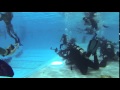 Mermaid scuba diving  aquamermaid