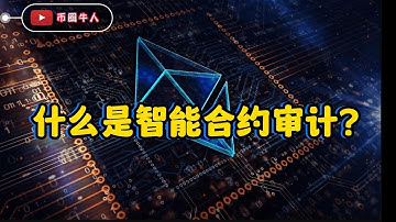 什么是智能合约审计？What is a smart contract audit?