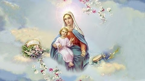 Tâm tình xin vâng _ Thái Nguyên