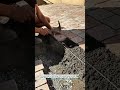 Paver Leveling Hammer Makes Stone Patio Work Faster #Pavers #Construction #Tools