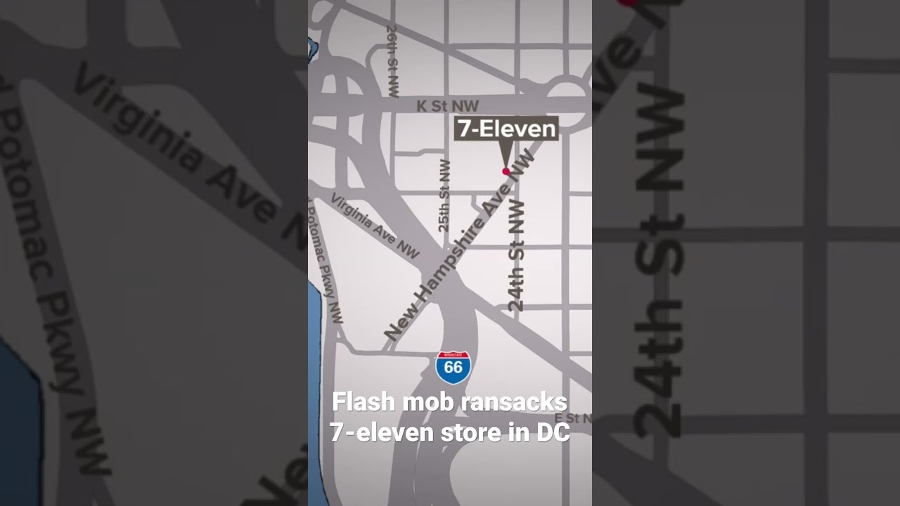 Flashmob Ransacks 7 Eleven In DC