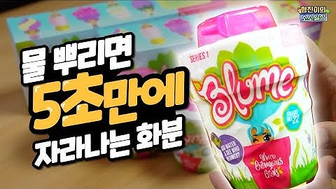 5초만에 자라나는 신기한 랜덤피규어 블룸돌즈를 8개 개봉해보았습니다 | 소소일상 SOSO1SANG