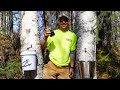 Harvesting Birch Sap & Making Syrup