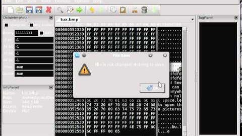 Steganography with BMP Image Files