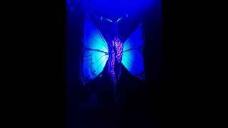 UV aerial act - caterpillar turns into butterfly for Wonderland themed event