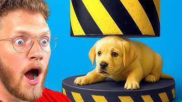 50 Minutes of Objects vs Hydraulic Press! (Satisfying)