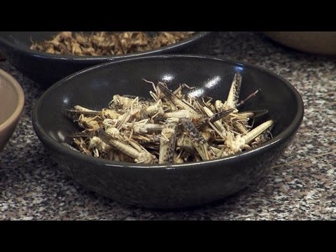 Alternative Esskultur: Insekten als Fleischersatz | SPIEGEL TV