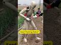 seed planting robot#robot #shortsfeed #shorts