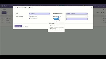 Dynamic Hourly Custom Sales Report Odoo