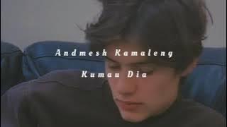 Andmesh - Kumau Dia ( Slowed Reverb Lyrics )