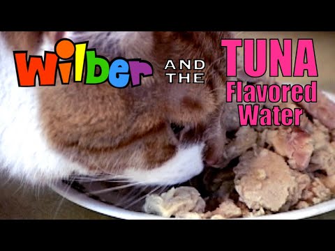 Wilber and the Tuna Flavored Water (Episode 5)