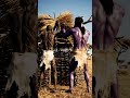The survival and close relationships of prehistoric people #humanevolution #earlyhumans